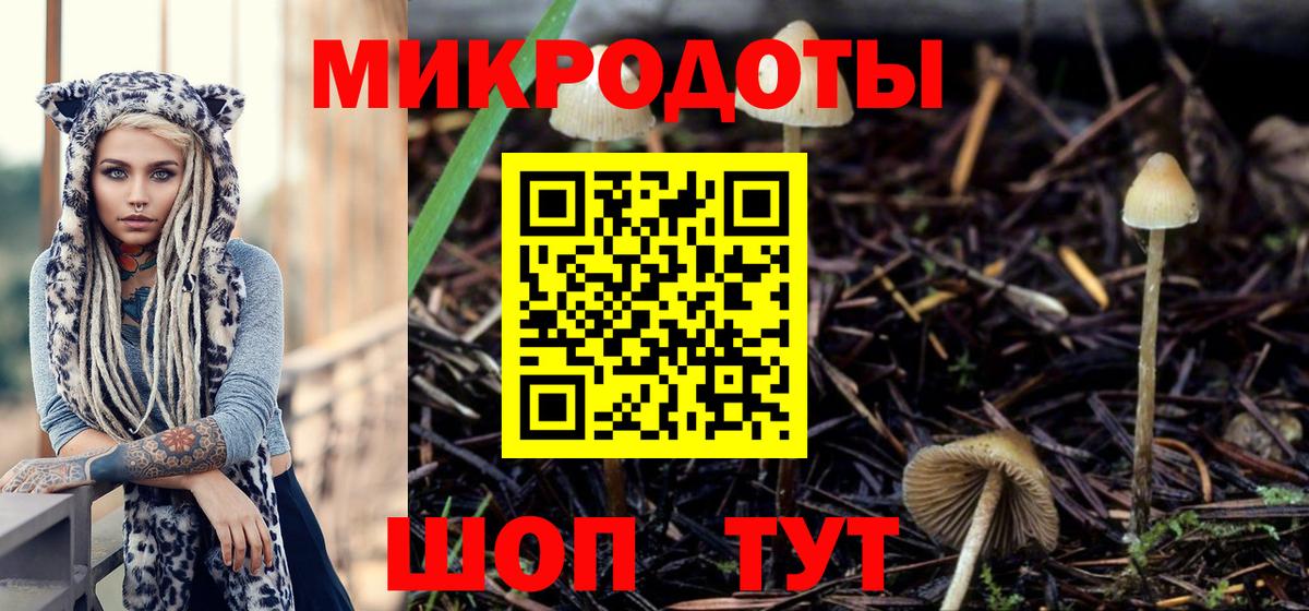 Галлюциногенные грибы ЛСД Новодвинск