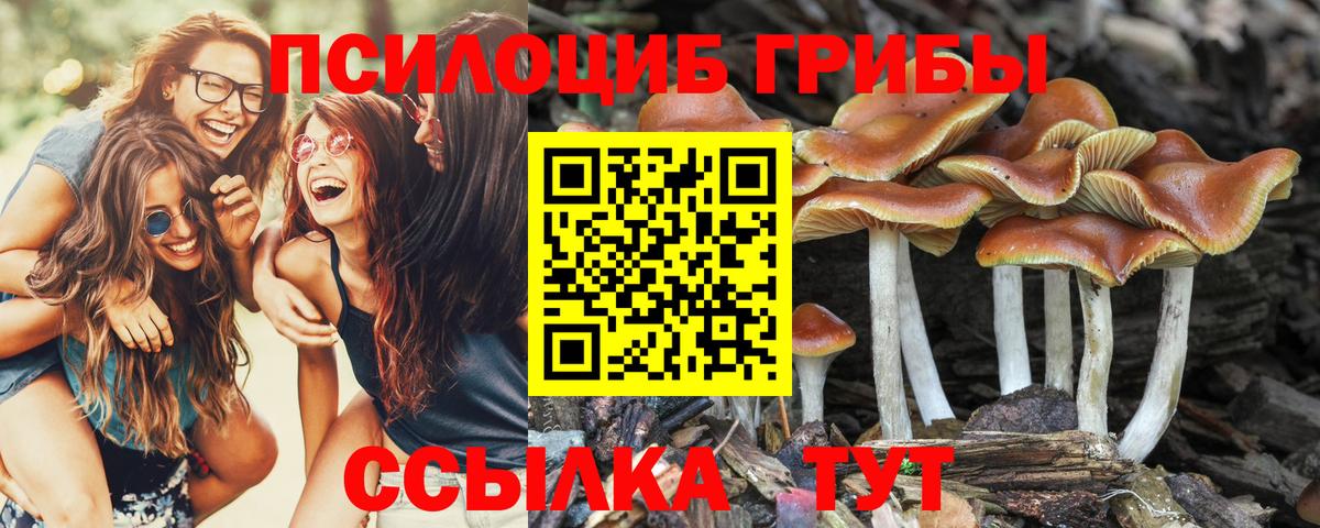 Галлюциногенные грибы Magic Shrooms  Вход с VPN  Новодвинск 